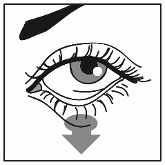 image2.jpeg