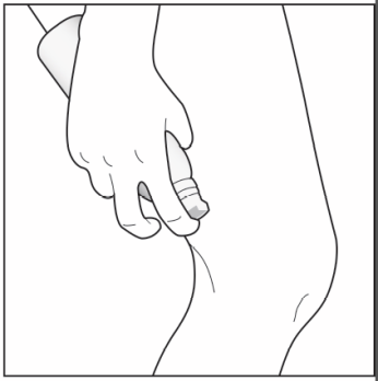 image3.png
