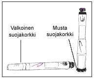 image48.jpeg