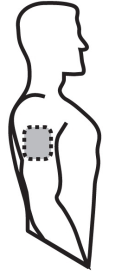 image2.png