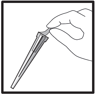 image7.png
