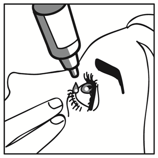 image1.png