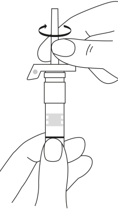image3.png