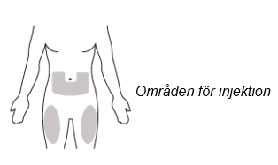 image11.png