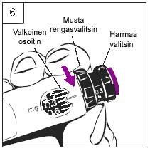 image42.jpeg