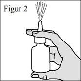 image11.png