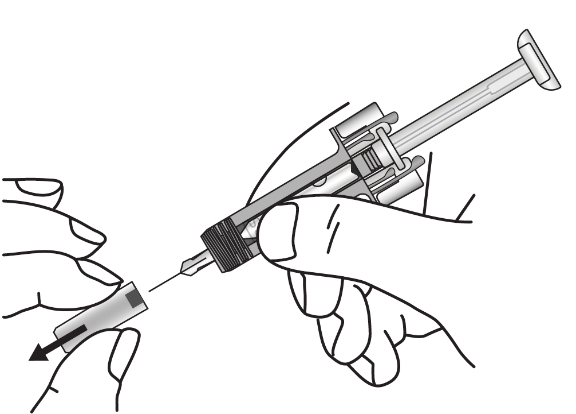 image6.png