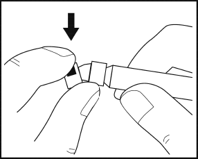 image6.png