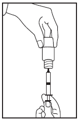 image5.png