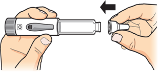 image10.png