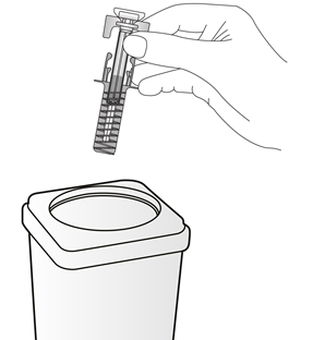 image11.png