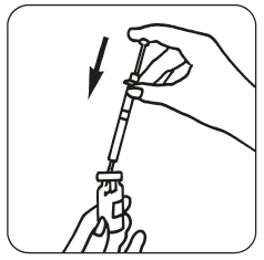 image2.png