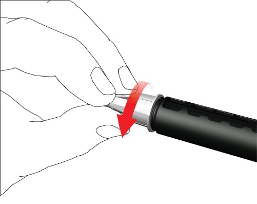 image13.jpeg