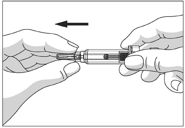image3.png