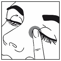 image4.jpeg