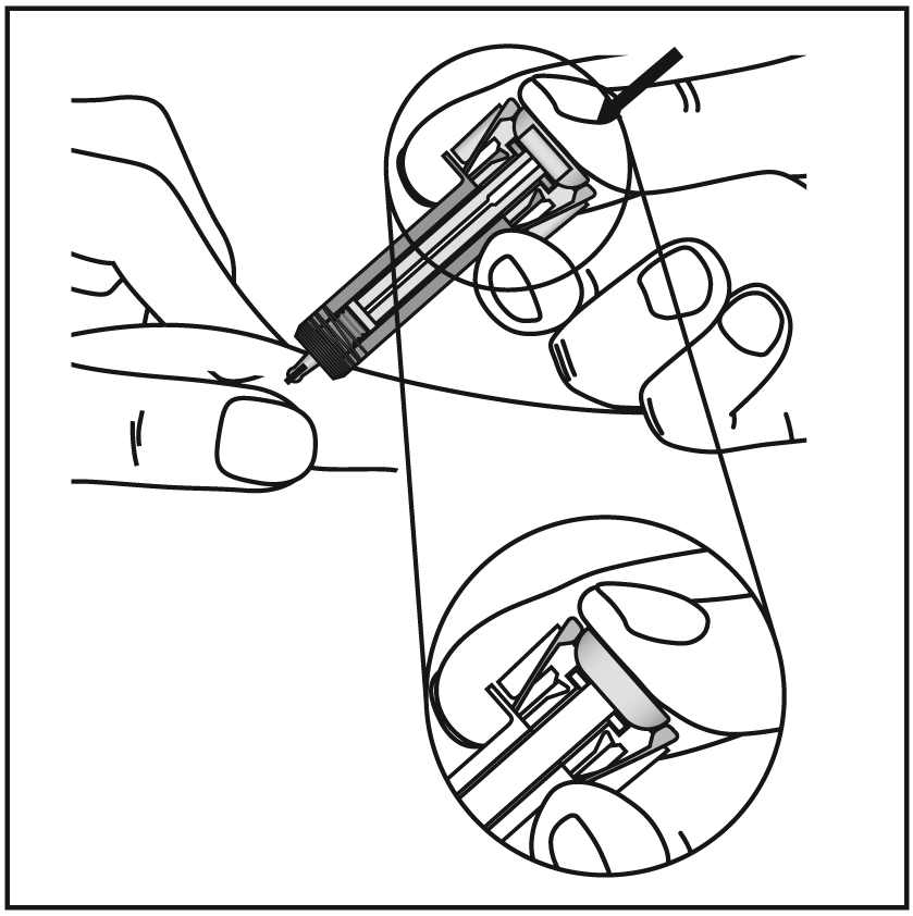 image13.png