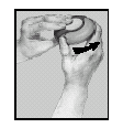 image7.png