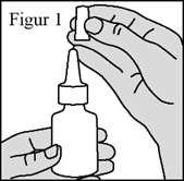 image9.png