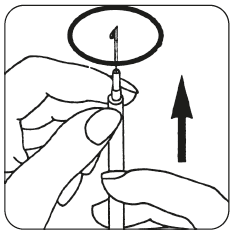image4.png