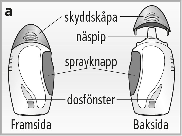image2.png