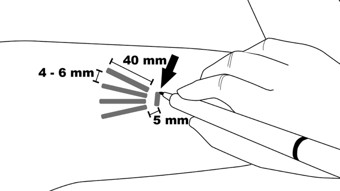 image4.jpeg