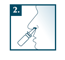 image2.png