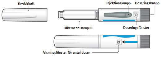 image3.png