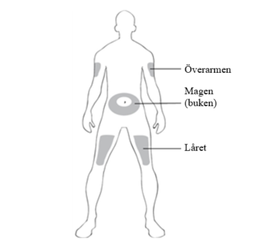 image6.png