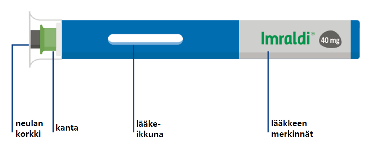 image2.png