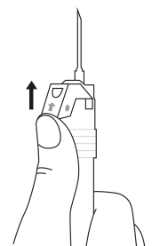 image6.png