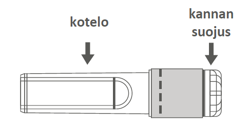 image2.png