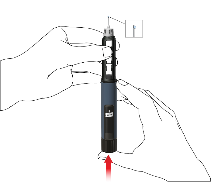 image12.png