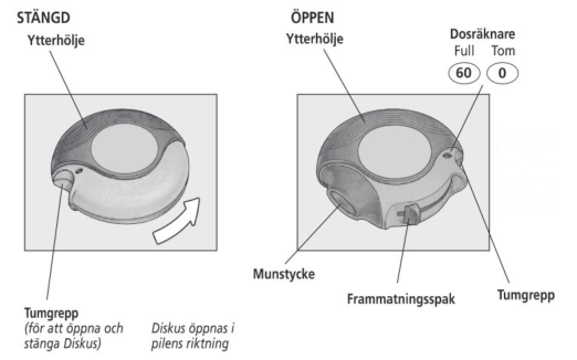 image6.png