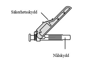image3.png