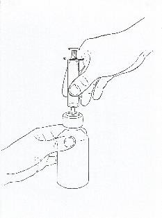 image1.jpeg