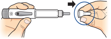 image12.png