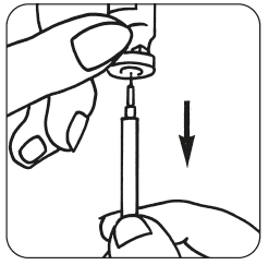 image1.png
