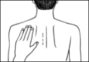 image6.png