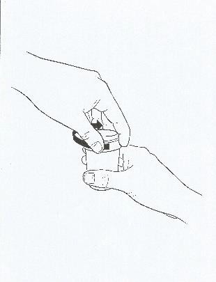 image4.jpeg