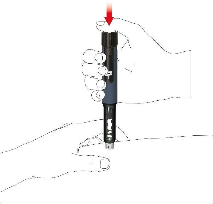image18.png