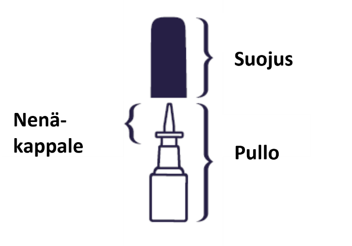 image4.png