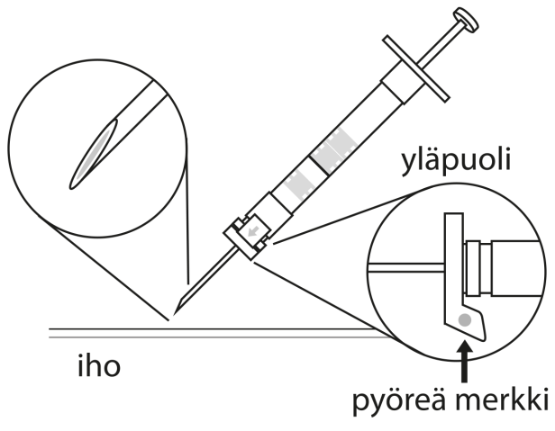 image4.png