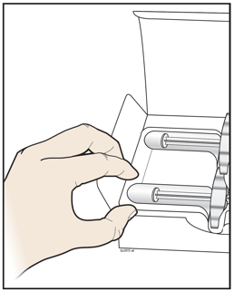 image6.png