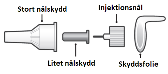 image6.png