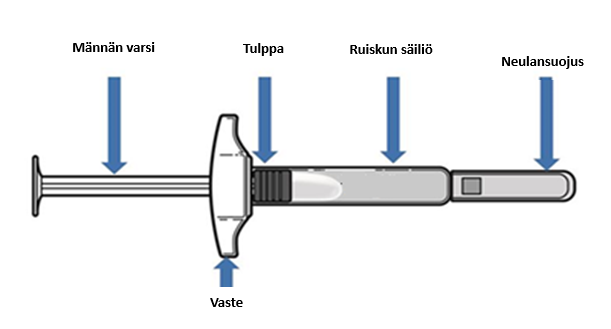 image2.png