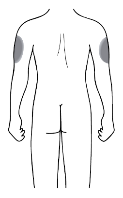 image4.png