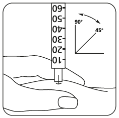 image5.png