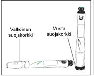 image20.jpeg