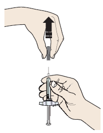 image11.png
