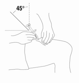 image13.jpeg